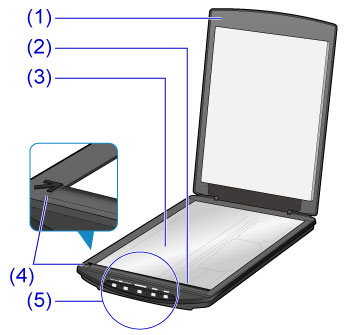 Canon : CanoScan Manuals : CanoScan LiDE 220 : Main Components